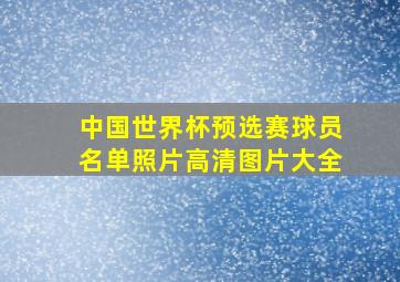 中国世界杯预选赛球员名单照片高清图片大全