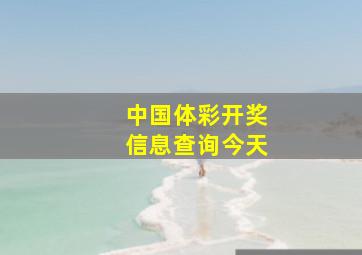 中国体彩开奖信息查询今天