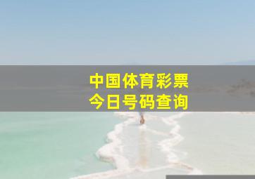 中国体育彩票今日号码查询