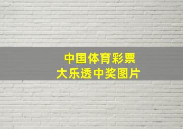 中国体育彩票大乐透中奖图片