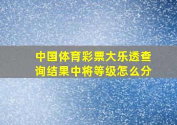 中国体育彩票大乐透查询结果中将等级怎么分