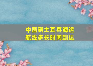 中国到土耳其海运航线多长时间到达