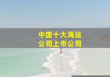 中国十大海运公司上市公司