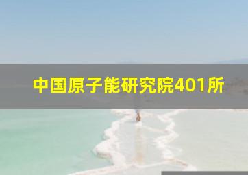 中国原子能研究院401所