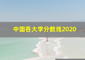 中国各大学分数线2020