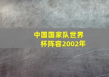 中国国家队世界杯阵容2002年