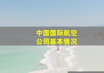 中国国际航空公司基本情况