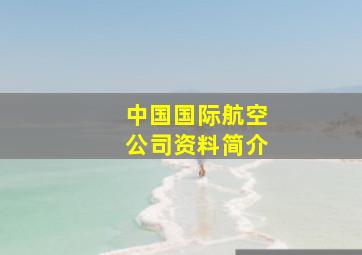 中国国际航空公司资料简介