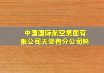 中国国际航空集团有限公司天津有分公司吗