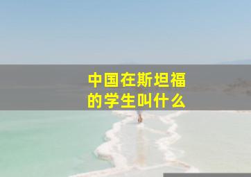 中国在斯坦福的学生叫什么