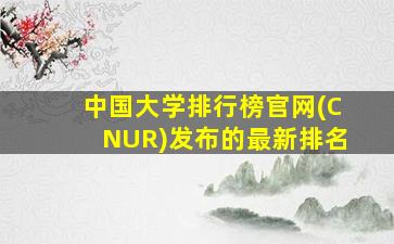 中国大学排行榜官网(CNUR)发布的最新排名