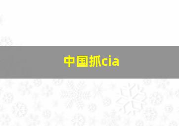 中国抓cia