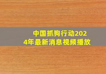 中国抓狗行动2024年最新消息视频播放