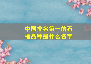 中国排名第一的石榴品种是什么名字