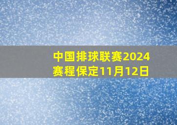 中国排球联赛2024赛程保定11月12日