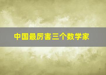 中国最厉害三个数学家