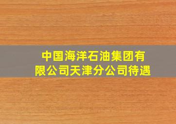 中国海洋石油集团有限公司天津分公司待遇