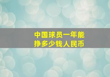 中国球员一年能挣多少钱人民币