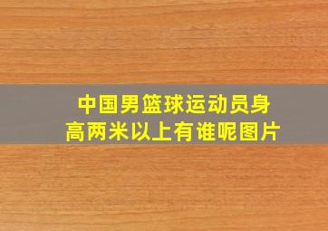 中国男篮球运动员身高两米以上有谁呢图片