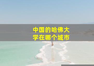 中国的哈佛大学在哪个城市