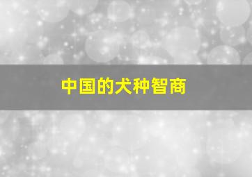 中国的犬种智商