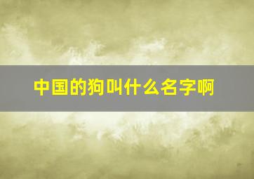 中国的狗叫什么名字啊