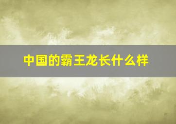 中国的霸王龙长什么样