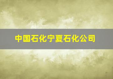 中国石化宁夏石化公司