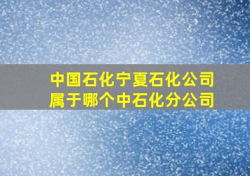 中国石化宁夏石化公司属于哪个中石化分公司