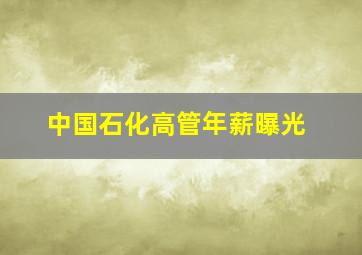 中国石化高管年薪曝光