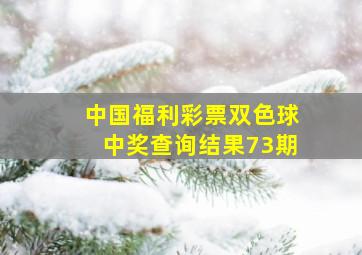 中国福利彩票双色球中奖查询结果73期