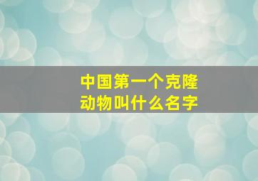 中国第一个克隆动物叫什么名字