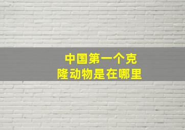 中国第一个克隆动物是在哪里