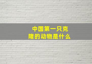 中国第一只克隆的动物是什么