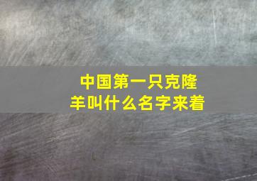 中国第一只克隆羊叫什么名字来着