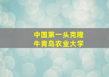 中国第一头克隆牛青岛农业大学