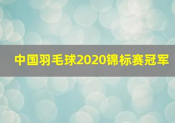 中国羽毛球2020锦标赛冠军