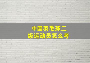 中国羽毛球二级运动员怎么考