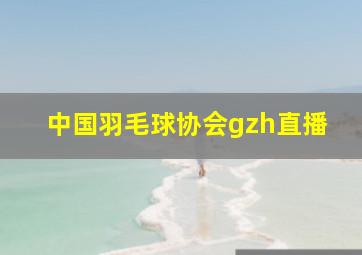 中国羽毛球协会gzh直播