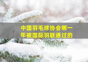 中国羽毛球协会哪一年被国际羽联通过的