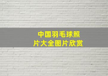 中国羽毛球照片大全图片欣赏