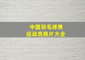 中国羽毛球男运动员照片大全