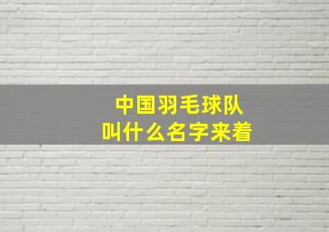 中国羽毛球队叫什么名字来着