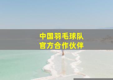 中国羽毛球队官方合作伙伴