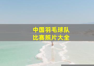 中国羽毛球队比赛照片大全