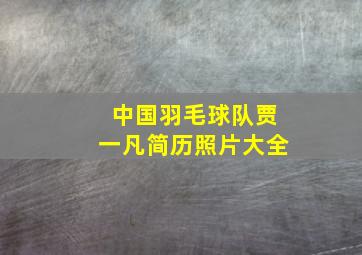 中国羽毛球队贾一凡简历照片大全