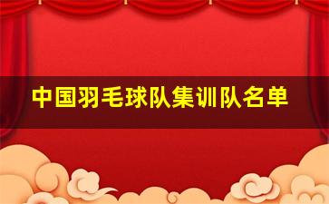 中国羽毛球队集训队名单