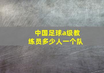 中国足球a级教练员多少人一个队