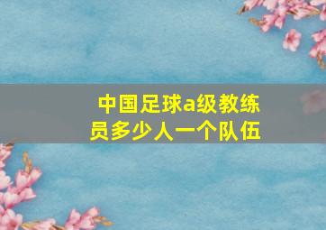 中国足球a级教练员多少人一个队伍