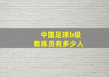 中国足球b级教练员有多少人